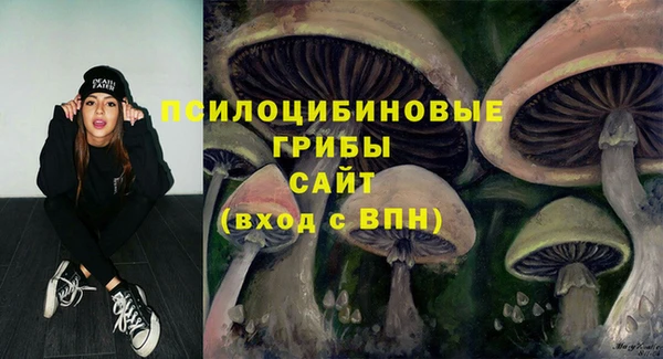 твердый Верея